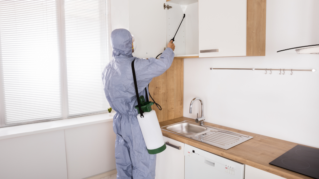 Professional pest control technician Upper Gold Coast - Executive Cleaning Services Sanctuary Cove
